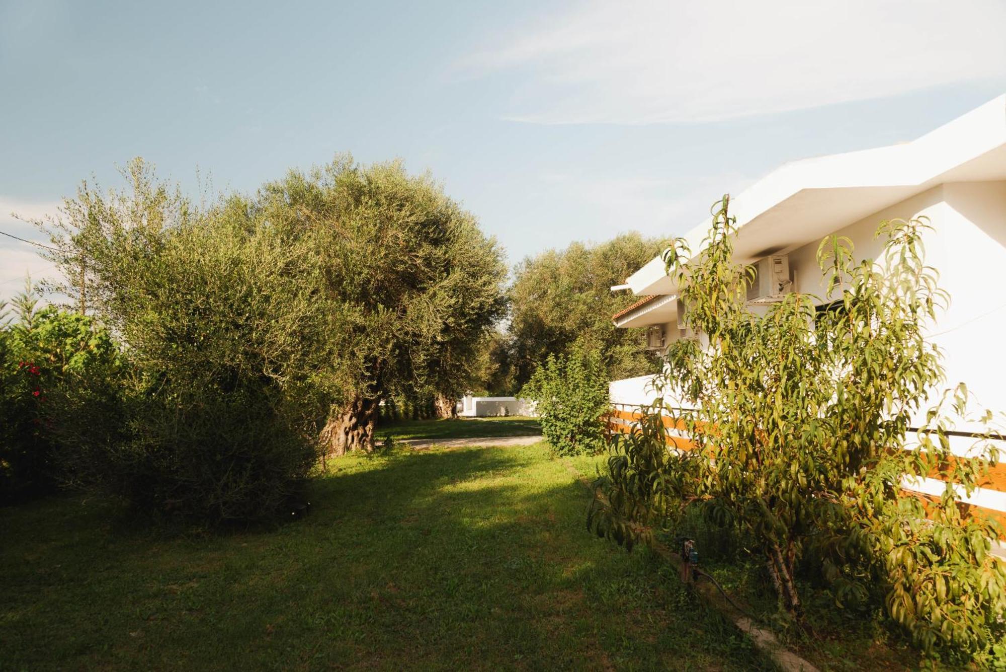 Olive Grove Suites Boutique Hotel Moraitika Zewnętrze zdjęcie