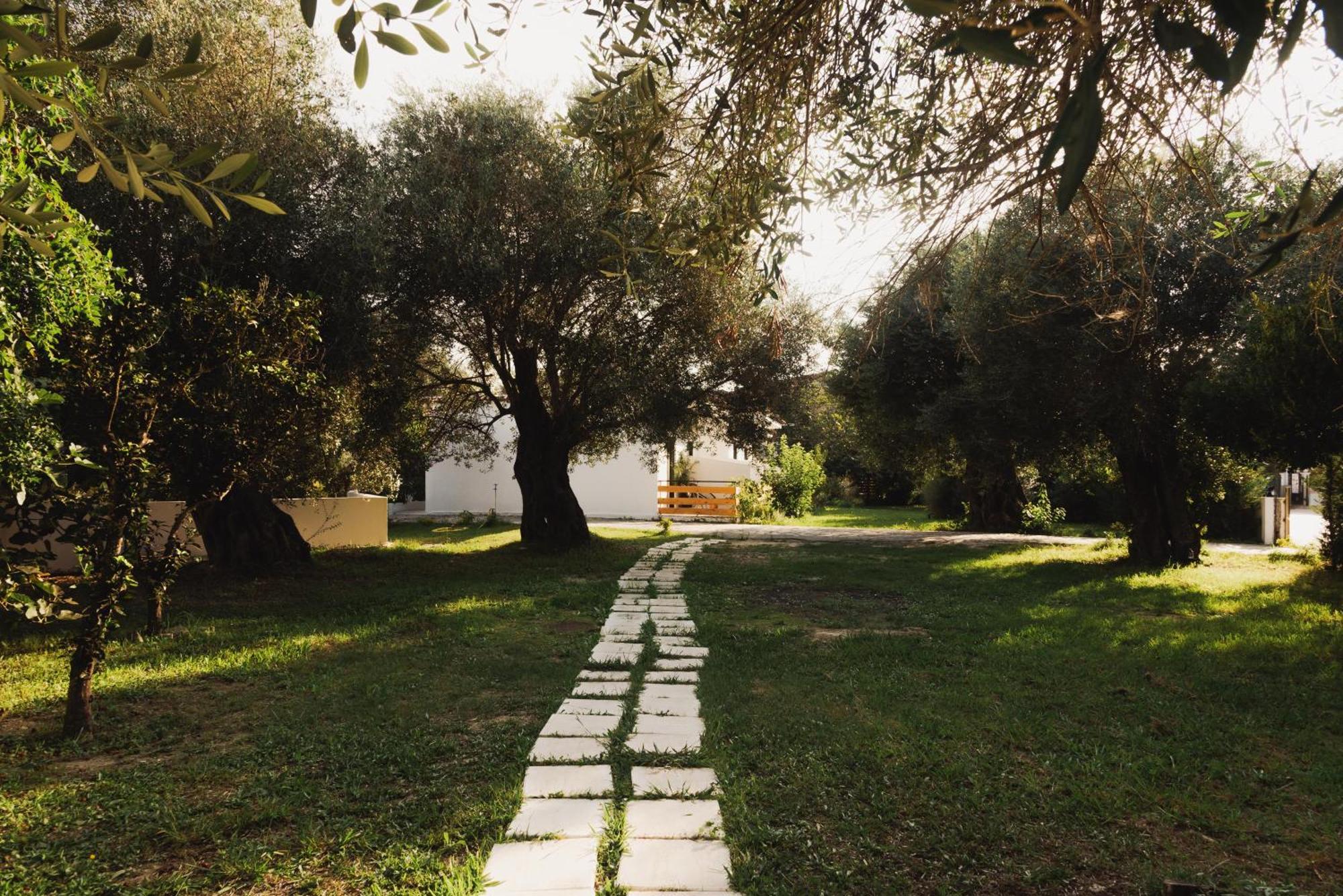 Olive Grove Suites Boutique Hotel Moraitika Zewnętrze zdjęcie