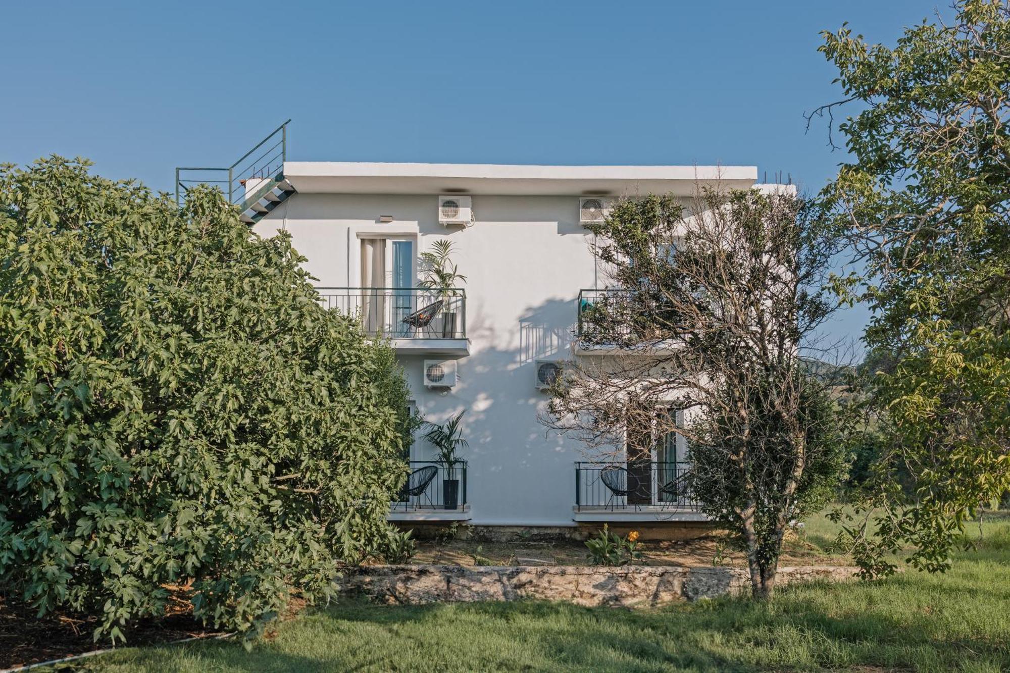Olive Grove Suites Boutique Hotel Moraitika Zewnętrze zdjęcie